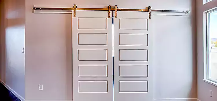 Glass Barn Door with Installation Hardware Kit McDonough