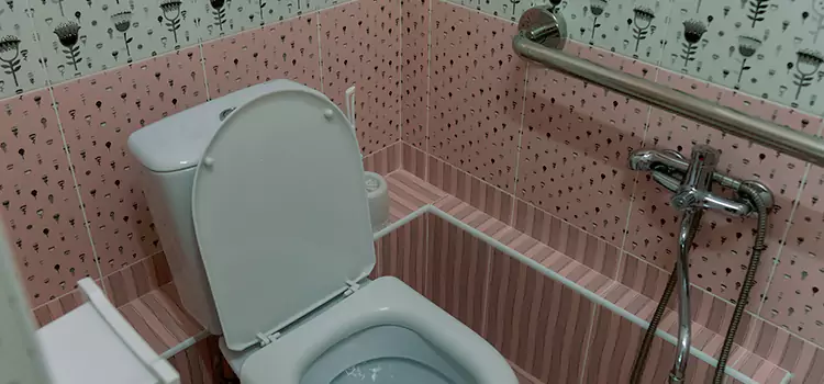 Meeting Diverse Needs With Accessible Restroom Solutions in McDonough, GA